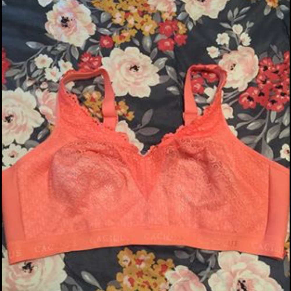 Lane Bryant bra
